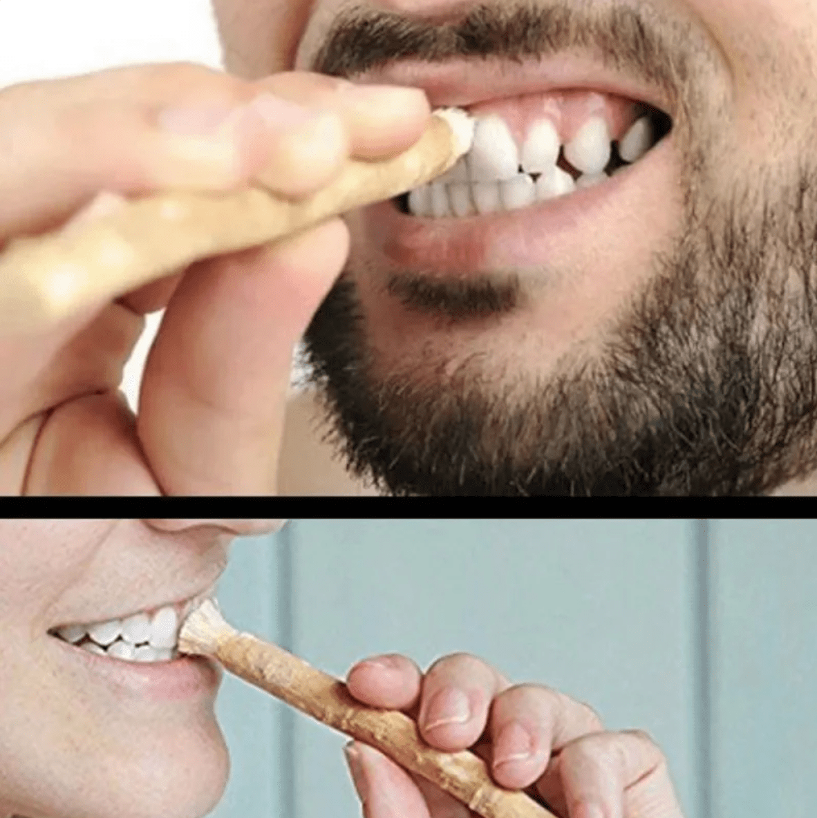 Miswak Tooth Cleaning Stick - A&N Outlet