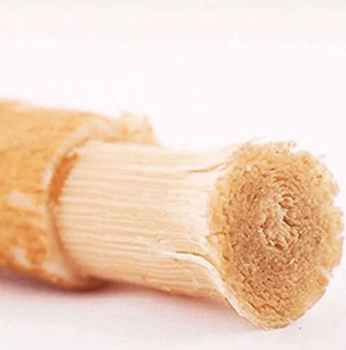 Miswak Tooth Cleaning Stick - A&N Outlet